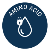 Amino Acid